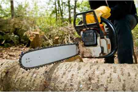Вслдствие незаконной вырубки деревьев в лесхозе "Дсех" государству был нанесен ущерб в особо крупных размерах